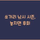 쏘가리네