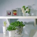 대구한의대학교 한방산업대학원 이미지