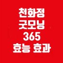 법인거림제약 | 천화정 굿모닝365 효능 부작용