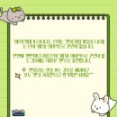 Funit(펀잇) 이미지