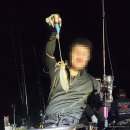 덕정6리(별무늬A) | 거제 통영 팁런 무늬오징어 탐사 with 온누리피싱