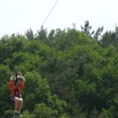 아포중.경북과학기술고등학교 이미지