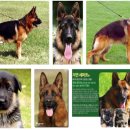 다산동물약국 이미지