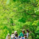 녹색지역아동센터 이미지