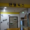 엔젤독스애견 이미지