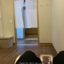 하루효소편백 이미지