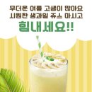 수림결혼정보 이미지