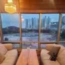 미모사패션 이미지