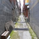 홍인약국 이미지