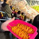 한국참피온 | LG트윈스 우승 세레머니 한국시리즈 5차전 잠실 응원전 후기