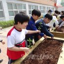 거제 내곡초등학교 거제인터넷방송
