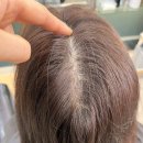 7번가피자 구미도량점 | [구미 도량] 구미 헤어샵 📍러블랑헤어 | 모류교정 후기 📸 | 구미 링거펌 모류 교정, 뿌리 볼륨 잘하는...