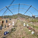 순천생태마을 이미지