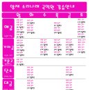 양재동호회 4월 강습시간표(서두르세요~^^) 이미지