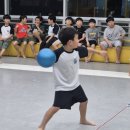 용인대 최강태권도 이미지