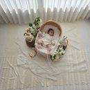 리틀 플라워 | 50일 아기 셀프 촬영 : 바이리틀피오니 플라워 컨셉 대여 후기 (ft. 남매샷 성공 비법)