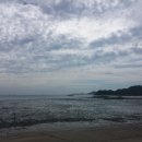 로뎀나무펜션민박 이미지