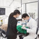 서울올치과의원 이미지