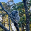 웨스턴헤이(주) 이미지