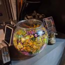 고인당 | 강남 방탈출카페 이룸에이트 EROOM8 고인(GO-IN) 테마 후기