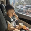 은지목장 이미지