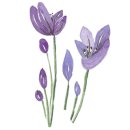 롯데샘터 이미지