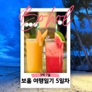두말 | 보홀 발리카삭 두말루안 비치 BBC 레스토랑 후기