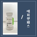 에피젠패스 부종 부기에 좋은 영양제 3주 복용 후기