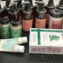 뷰티 앤 도그쇼 이미지