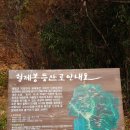 강선암주차장 이미지