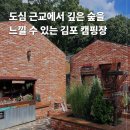 김포 여울지숲속캠핑장 후기 서울 근교 감성 글램핑 추천
