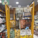 아무도없개 이미지