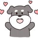 휴안과동물병원 이미지