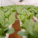 이한농장 이미지