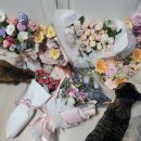 로열이화피아노교습소 네이버블로그