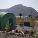 달창농장 이미지