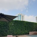 칼튼호텔 이미지