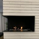 테라키아 이미지