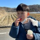 안동할아버지농장