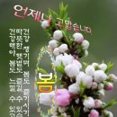 만사형통 이미지