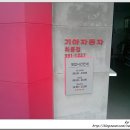 화룡점 기아오토큐 이미지