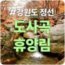 정선군재활용선별시설 | 정선 도사곡휴양림 완벽 가이드: 명당 데크 추천부터 숙박 시설, 두위봉 등산 코스까지