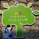 대전대양초등학교 이미지