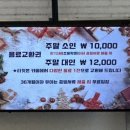 현이목장 | 가평양떼목장 겨울에 가볼만한곳 산타알파카 눈썰매 솔직후기