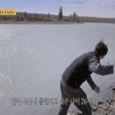 궁PC방 | 안녕하세 끼리꾸루꾸루...