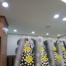 송정사랑병원 이미지