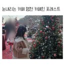 카페인 포레스트 본점 이미지