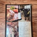 카우보이목장 | 오사카 도톤보리 부근 함박스테이크 현지인 맛집 함바그 추천 [카우보이 니혼바시점]