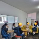 영천애견미용 이미지