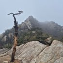 홍촌마애승상 | 26M-07-0411 관악산 육봉~팔봉